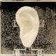 Image for article titled Artist regrows Van Gogh's ear using his DNA